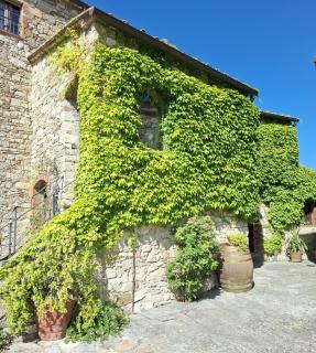 Borgo Livernano - Radda in Chianti - 5