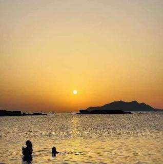 Diar Aquilaria dar Meriem - El Haouaria - 7