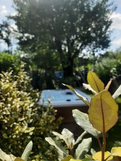 La casa di Priscilla - Bucine - 2