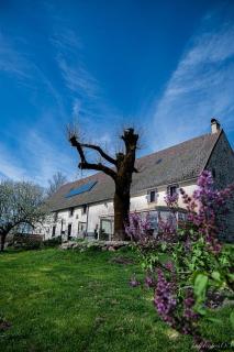 le Domaine de Bos - Bagnols - 9