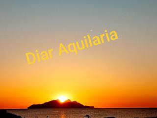 Diar Aquilaria Dar nouha - El Haouaria - 7