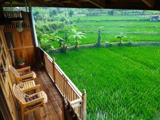 361 Alam - Rarang - 9