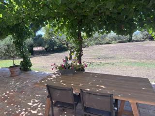 La Maison De Marie - Provence - Estézargues - 0