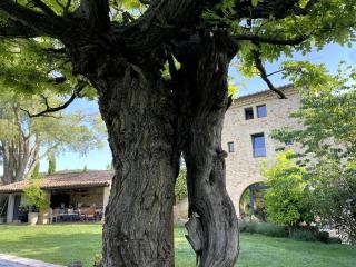 Le Mas AIgaliers Uzès - 1