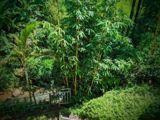 Stream Holiday Home Haputale - Haputale - 1