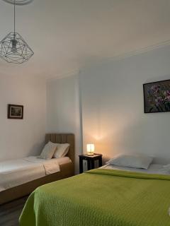 MAin Apartment - Tirana - 9