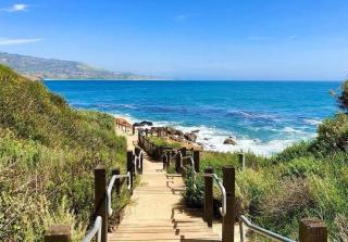 LA Coastal Oasis - 6