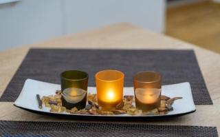 Janojlic apartman Zlatibor - 3