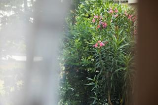 Residenza Adriatica - Riccione - Riccione - 3