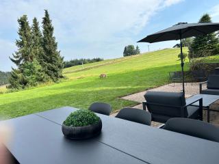 Romantikchalet Neuastenberg/Winterberg - 7