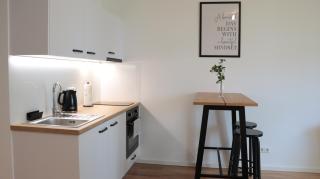 Modernes Ein-Zimmer-Apartment - Greifswald - 4