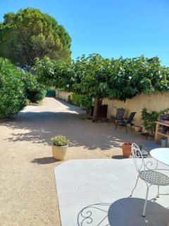 Bienvenue en Provence - Monteux - 9