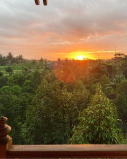 361 Alam - Rarang - 9
