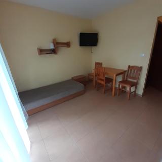 Zagajnik - 1