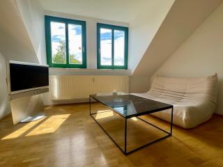 Zentrales hochwertiges Apartment Thomasius - 7