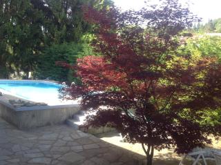 Nel verde house di Rolando - 3