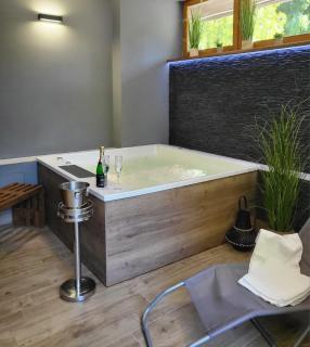 Parkhotel Harrachov - 7