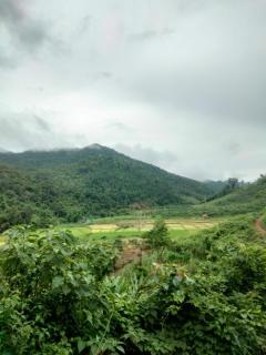 Local Adventure Laos - Luang Namtha - 2