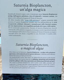 Casale Terre Rosse - Saturnia - 8