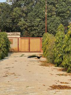 Sukoon Bagh Stays - 6