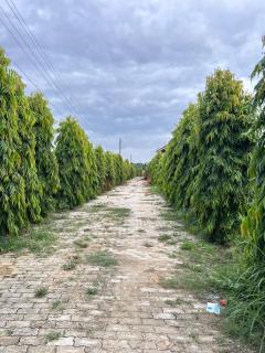 Sukoon Bagh Stays - 5