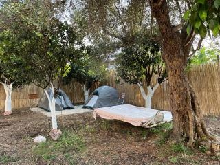 Himara Hostel - Himare - 4
