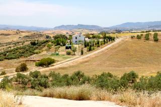 El Fresquedal - Alozaina - 6