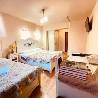 Leaganul Bucovinei Guest House - 1