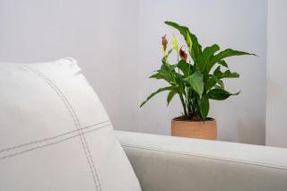 LEX & LUX 3-Levels Maisonette - Atene - 5