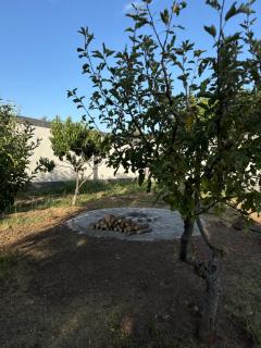 Yan Garden - Aghk'ilisa - 1