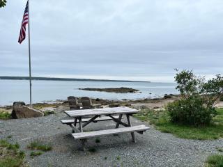 Saltwater Serenade - 5