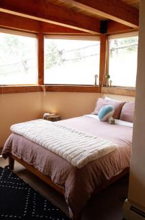 Fairplay Coyote Cabin - 9