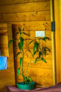 Natural Mountain Cottage - Ella - 2