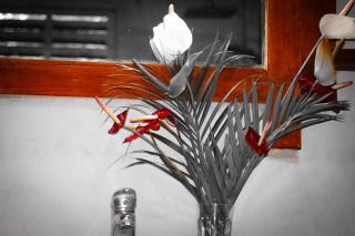 Natural Mountain Cottage - 9
