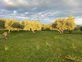 Agriturismo DonnoMarco - Simeri - 1