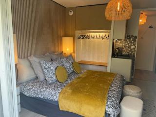 Petit Cocon des Rives Proche Stanislas - Nancy - 3