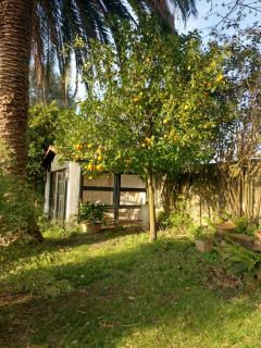Casa Nogal - Anero - 5