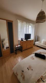 Cozy apartment - Geneva - 8