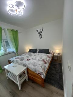 FERIENHAUS Kuća za odmor DJEDIN ORAJ - 1