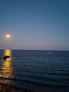 Le rivage - Vias - 0