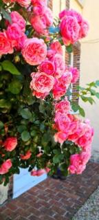 Au Clos de Charny - 4