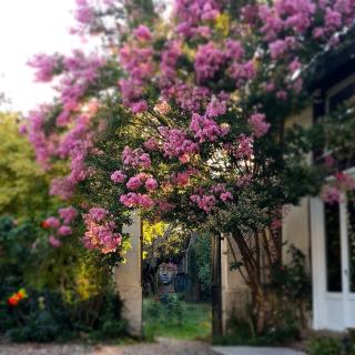 Au Clos de Charny - 5