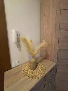 1 room apartment in Statybininku pr. - Klaipėda - 8