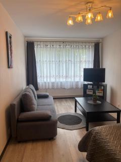 1 room apartment in Statybininku pr. - 0