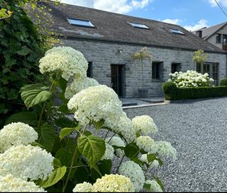 Charmante maison de vacances - Vaux-sur-Sûre - 0