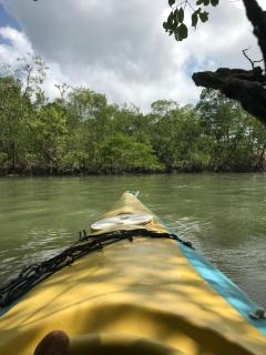 Raizistencia Arte e Cultura - 3