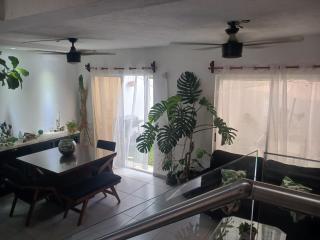 Casa Monstera te espera - Naranjo - 9