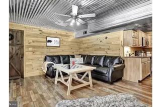 Secluded, Hot Tub, Gameroom, Fire Pit, Mountain View - Wardensville - 4