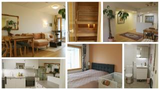 Spacious Apartment for 3 with Sauna - Helsinki - 0