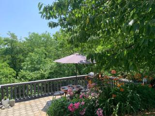 Holiday House -Three Cherries - Tri Trešnje - Grabovnica - 2